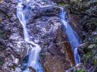 Wurzelstock im Bachbett vor zwei Wasserfallarmen - Klausgraben